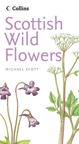 Scottish Wild Flowers