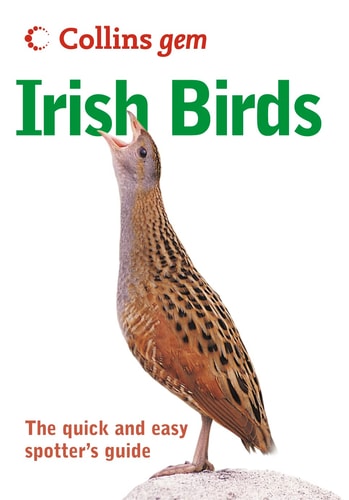 Irish Birds