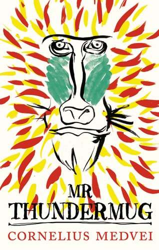 Mr. Thundermug