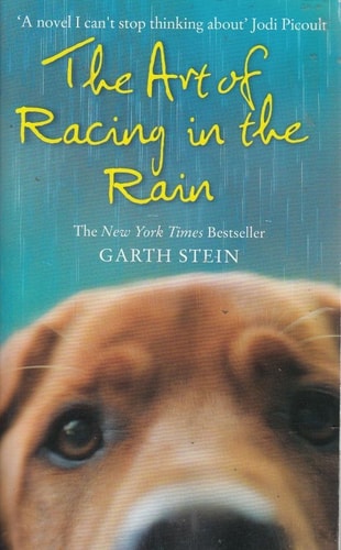 The Art of Racing in the Rain