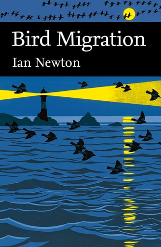 Bird Migration