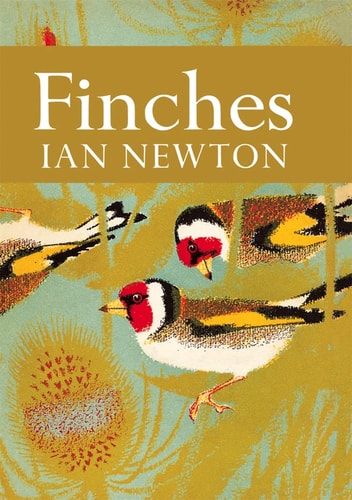 NN Finches 55