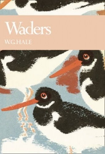 Waders