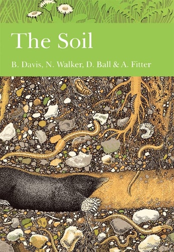 In the Soil