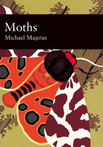 Moths: Book 90 (Collins New Naturalist Library)
