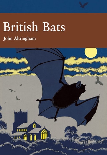 NN British Bats 93