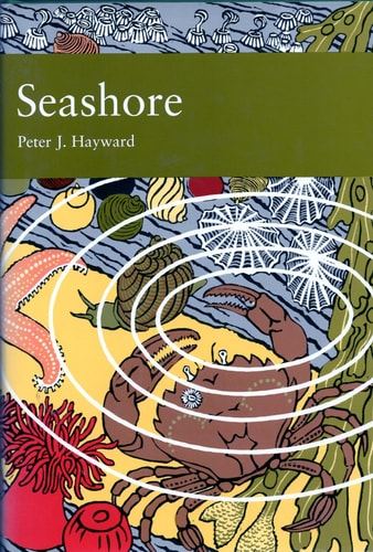Seashore