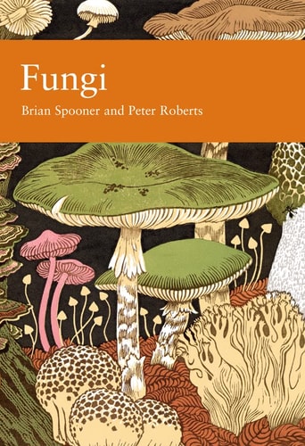 NN Fungi 96