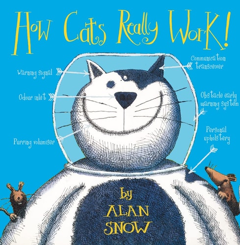 How Cats Really Work!