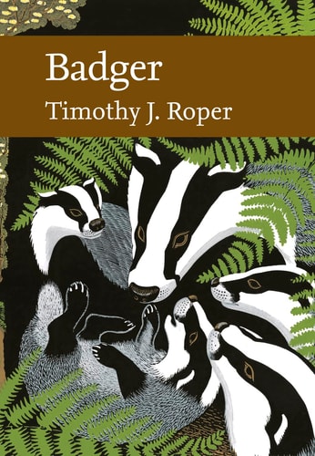 Badger (Collins New Naturalist)