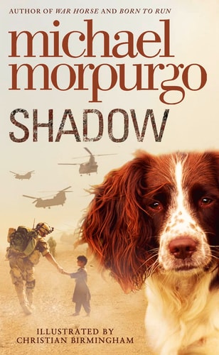 Shadow (Collector's Edition)