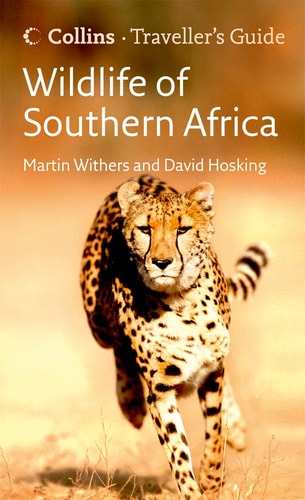 Wildlife of Southern Africa: Traveller's Guide