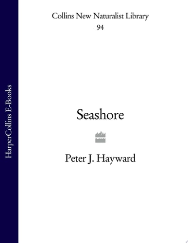 Seashore