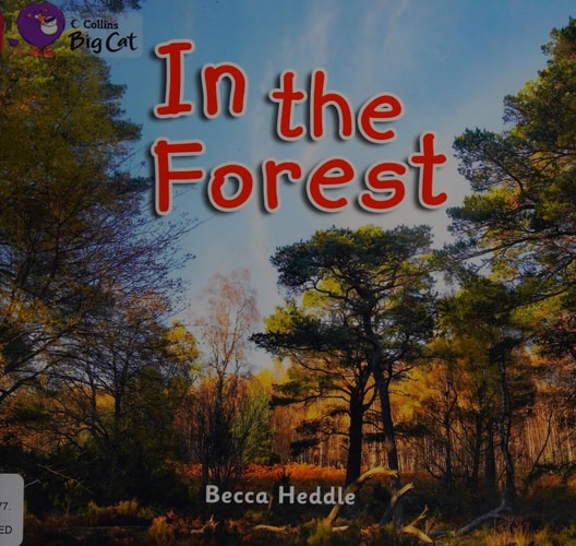 In the Forest (Collins Big Cat)