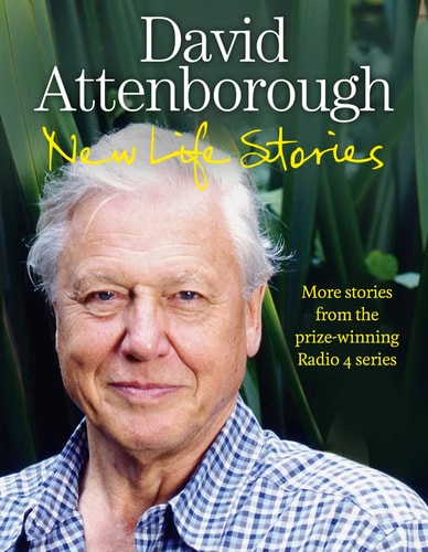 New Life Stories
