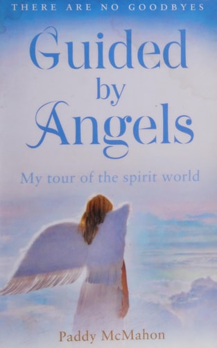 Guided by Angels: There Are No Goodbyes, My Tour of the Spirit World