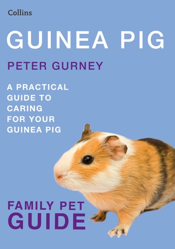Guinea Pig: Collins Family Pet Guide