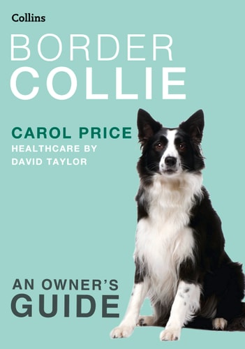 Border Collie: An Owner's Guide