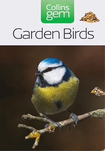 Garden Birds
