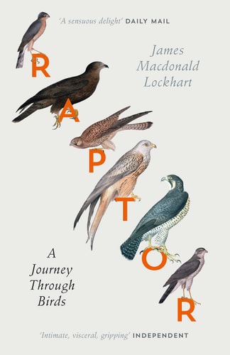 Raptor A Journey Through Birds