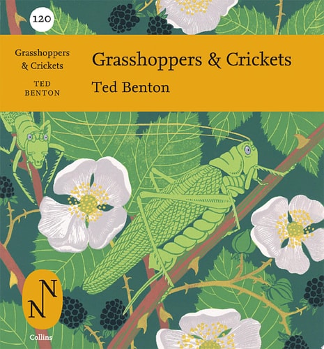 Grasshoppers and Crickets
