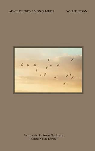 Adventures Among Birds