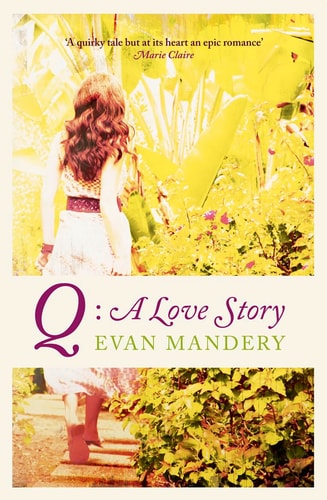 Q: A Love Story. Evan Mandery
