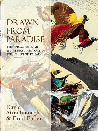 Drawn From Paradise The Discovery, Art and Natural History of the Birds of Paradise
