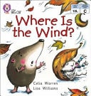 Collins Big Cat - Where Is the Wind?: Band 02b/Red B