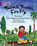 Collins Big Cat - Twinkle, Twinkle, Firefly