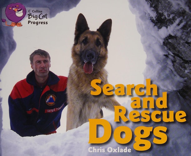 Search and Rescue Dogs Band 06 Orange/Band 14 Ruby