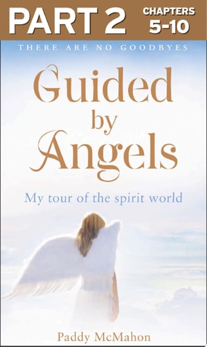Guided by Angels: There Are No Goodbyes, My Tour of the Spirit World