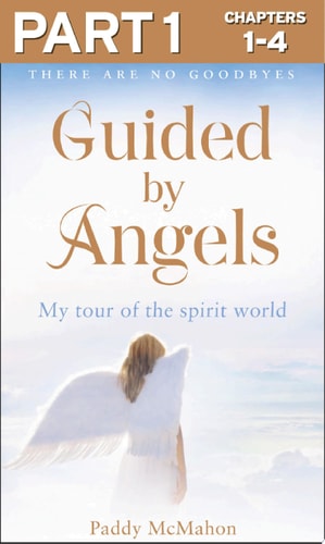 Guided By Angels: There Are No Goodbyes, My Tour of the Spirit World