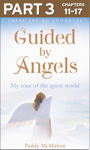Guided by Angels : Part 3 Of 3: There Are No Goodbyes, My Tour of the Spirit World