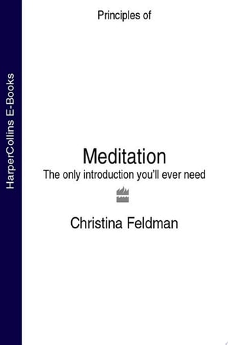 Meditation: The Only Introduction You’ll Ever Need
