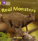 Phonics Reader: Evaluation Pack (Collins Big Cat Phonics)