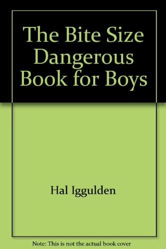 The Bite Size Dangerous Book for Boys