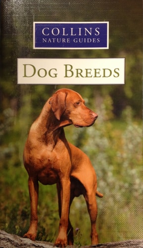 Dog Breeds