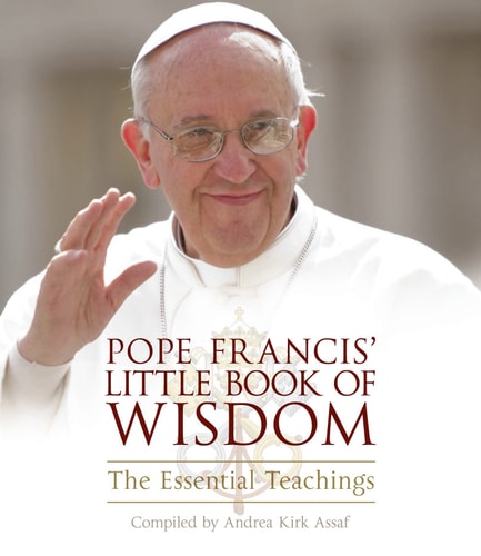 Pope Francis' Little Book Of Wisdom