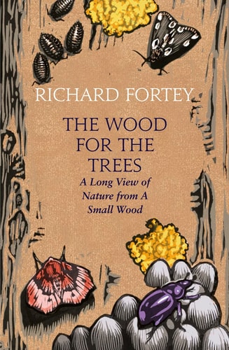 The Wood for the Trees: The Long View of Nature From a Small Wood