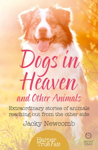 Dogs in Heaven: And Other Animals