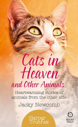 Cats in Heaven: And Other Animals
