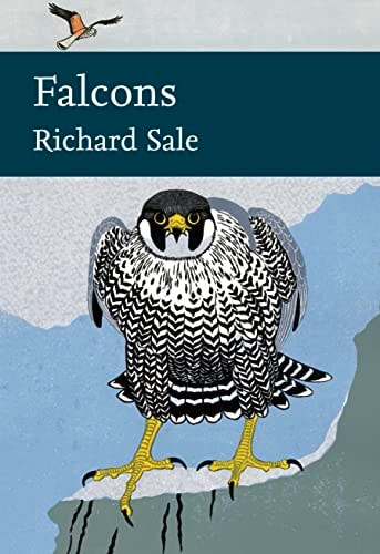 Falcons_nn Lib132 Om Lth
