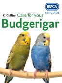 Care for Your Budgerigar