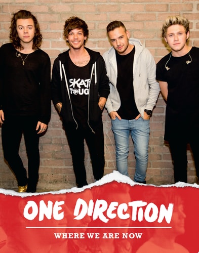 One Direction: Where We Are Now