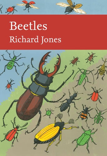 Beetles: A Natural History