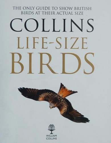 Collins Life-Size Birds