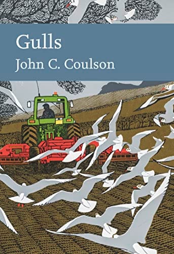 Gulls (Collins New Naturalist Library)
