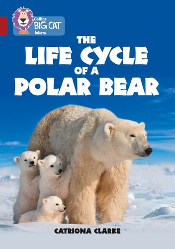 Collins Big Cat – The Life Cycle of a Polar Bear: Band 14/Ruby