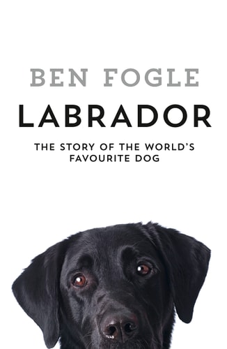 Edition published by HarperCollins Publishers Limited